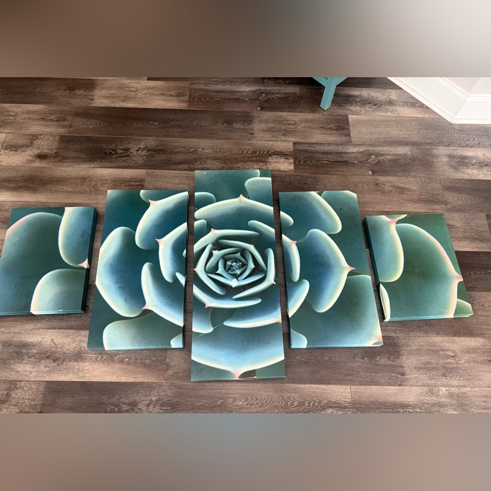 Succulent 5 Piece Canvas Wall Art